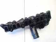 Ansaugkr?mmer Ford Transit, III 2006.04 - 2012.12 facelift 6C1Q9E470AD,6C1Q-9E470-AD