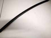 Zierleiste Leiste - Hinten Linke Lexus IS, II 2005.10 - 2013.03 Gebraucht,