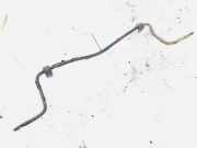Stabilisator Vorne Volvo S80, 1998.05 - 2004.06 Gebraucht,