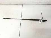 Gasdruckfeder Kofferraum Mitsubishi Colt, 2003.09 - 2008.09 Gebraucht,