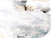 Scheibenwaschbeh?lter Vorne Wischwasserbeh?lter Peugeot 806 1994 - 2002 1461945080,