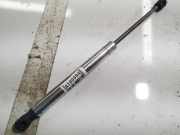 Gasdruckfeder Kofferraum Audi A8, D3 2002.09 - 2005.6 Gebraucht,