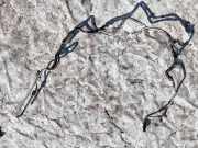 Ölrücklaufrohr Nissan X-Trail, 2001.06 - 2007.06 Gebraucht ,