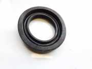 Blende Scheinwerfer - Vorne Toyota RAV-4, II 2000.09 - 2005.11 Gebraucht,