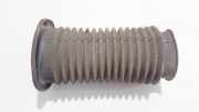 Anschlagpuffer Federung Opel Zafira, B 2008.01 - 2011.10 facelift 55700767,524861770