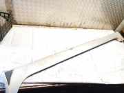 Verkleidung Schweller - Linke Nissan Primera, P12 2002.01 - 2008.12 Gebraucht,