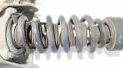 Fahrwerksfeder vorne Porsche Cayenne, 2002.01 - 2010.06 Gebraucht,