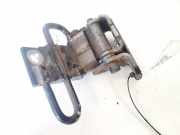 Türscharnier Vorne Audi A6, C6 2005.01 - 2008.10 8e0831412b,