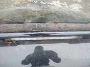 Zusatzbremsleuchte Toyota Prius, 2003.06 - 2009.01 Gebraucht,