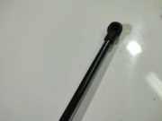 Gasfeder für Motorhaube Seat Toledo, 2004.10 - 2009.05 Gebraucht ,