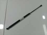 Gasdruckfeder Kofferraum Peugeot 607, 2000.01 - 2004.07 Gebraucht,