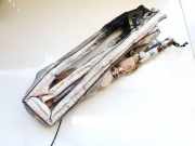 Kopfairbag - Vorne Linke Volkswagen Passat, CC I 2008.01 - 2011.06 3C8880741B,3C8 880 741 B 3C8880741B 0005FWC3