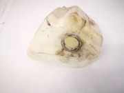 Ausgleichsbehälter Lexus RX, 2000.07 - 2003.05 Gebraucht,