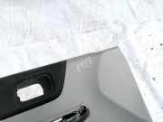 Türverkleidung - Vorne Linke Nissan X-Trail, 2001.06 - 2007.06 809018H300,