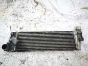 Ladeluftk?hler Renault Megane, II 2002.11 - 2006.06 8200115540a,8200115540-a