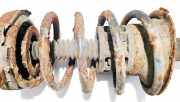 Fahrwerksfeder vorne Renault Scenic, I 1996.01 - 1999.09 Gebraucht,