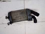 Ladeluftkühler Nissan Primera, P12 2002.01 - 2008.12 Gebraucht,