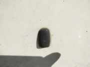 Waschwasserdüse Scheibenreinigung Ford Focus, 1998.10 - 2002.10 Gebraucht,