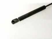 Gasdruckfeder Kofferraum Nissan Primera, P12 2002.01 - 2008.12 Gebraucht,