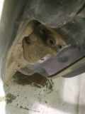 Türscharnier Hinten Audi A6, C5 1997.01 - 2001.08 Gebraucht,