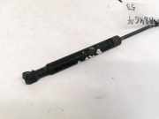 Gasfeder für Motorhaube Volvo S60, 2000.01 - 2005.01 Gebraucht ,
