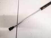 Gasdruckfeder Kofferraum Citroen C8, I 2002.07 - 2008.06 1492653080,