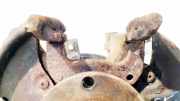 Bremssattelträger - Hinten Linke Audi A4, B7 2004.11 - 2008.06 Gebraucht,