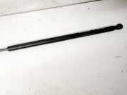 Gasdruckfeder Kofferraum Audi A4, B7 2004.11 - 2008.06 ml5386325n,