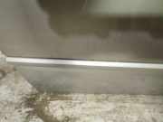 Zierleiste Tür Zier-Schutzleiste - Vorne Rechts Renault Laguna, III 2007.10 - 2010.11 Gebraucht ,