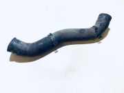 Kühlerschlauch Opel Signum, 2003.05 - 2008.06 1311922, 875445q