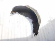 Radhausschale - Hinten Rechts Toyota Corolla, 2004.02 - 2007.02 facelift 6583802010, 65838-02010