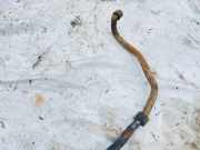 Stabilisator Vorne Audi 80, B4 1991.09 - 1995.01 Gebraucht,