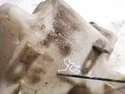 Scheibenwaschbeh?lter Vorne Wischwasserbeh?lter Skoda Octavia, II 2004.02 - 2009.03 1k0955453r,1k0955453s