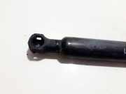 Gasdruckfeder Kofferraum Peugeot 207, 2006.02 - 2009.06 9680957280,210258.04