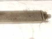 Ladeluftkühler Fiat Bravo, 2006.11 - 2014 Gebraucht,