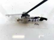 Innenraumleuchte Ford C-MAX, 2003.01 - 2007.06 Gebraucht,