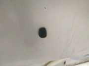 Waschwasserdüse Scheibenreinigung Mazda 5, CR 2005.02 - 2010.09 Gebraucht,