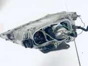 Hauptscheinwerfer - Vorne Linke Chevrolet Evanda, 2002.01 - 2006.12 0301001373, 0301-001373