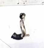 Kühlmittelrohrleitung BMW 6-Series E63 E64 2003.01 - 2010.12 Gebraucht,