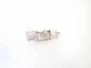 Innenraumleuchte Renault Scenic, III 2009.02 - 2013.06 8200120715b,