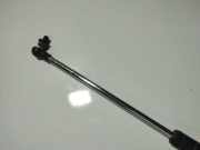 Gasfeder für Motorhaube Mitsubishi Colt, 1995.09 - 2003.09 Gebraucht ,