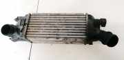 Ladeluftkühler Citroen C5, I 2004.08 - 2008.02 facelift 9645682880, 874823NJ