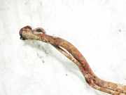 Tankeinf?llstutzen Tankrohr Kraftstoffrohr Mitsubishi Outlander, I 2003.01 - 2006.12 Gebraucht,