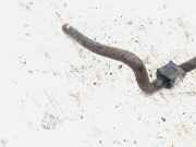 Stabilisator Stabi Hinten Hinterachse Volkswagen Sharan, 7M 2000.04 - 2005.11 facelift Gebraucht ,