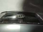 Kühlergrill Frontgrill Kühlergitter Kia Sorento, I 2002.01 - 2009.06 Gebraucht,