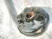 Bremskraftverstärker Ford Mondeo, 2007.03 - 2013.06 Gebraucht,