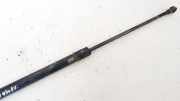 Gasdruckfeder Kofferraum Nissan Micra, K11C 1997.03 - 2003.02 facelift Gebraucht,