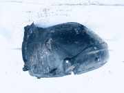 Radhausschale - Vorne Linke Mercedes-Benz W220, 1998.10 - 2005.08 2206980530,