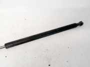 Gasdruckfeder Kofferraum Peugeot 206, 2002.07 - 2009.01 facelift 9642210080,