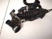 Schlauch für Luftversorgung Volkswagen Passat, B5+ 2000.11 - 2005.05 058133956, awt